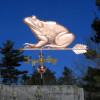 frog weathervane