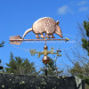 Armadillo Weathervane