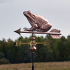 Frog Weathervane