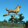 Cardigan Corgi Weathervane
