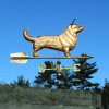 Cardigan Corgi Weathervane