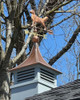 customer photo of golden retriever weathervane