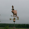 Hawaiian Pig Weathervane