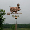 Hawaiian Pig Weathervane