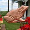 Frog Garden Stake