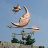 Flying Pig and Moon Weathervane