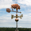 Buffalo Weathervane