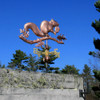 Squirrel Weathervane