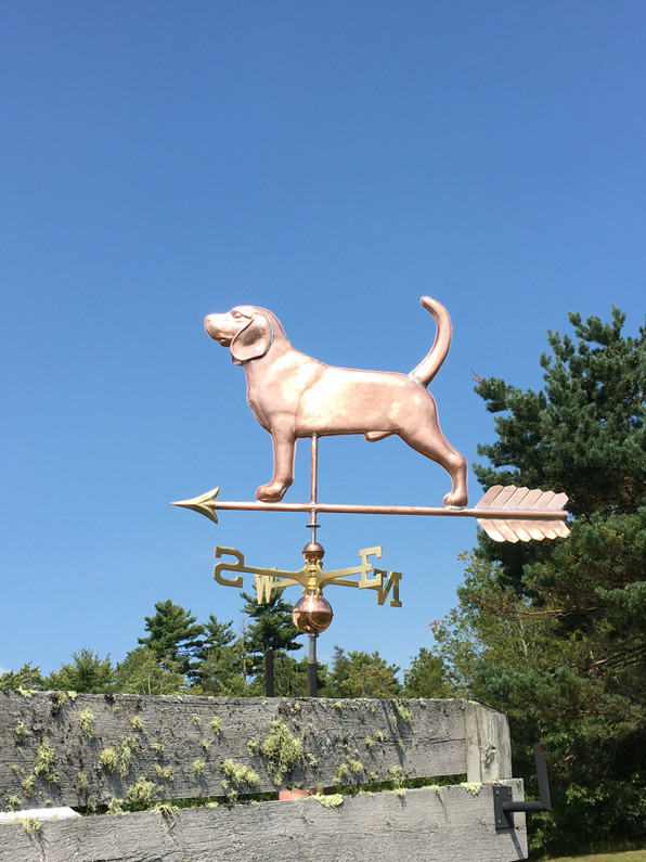  Beagle Weathervane