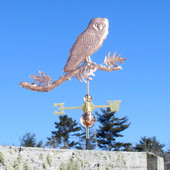 barn owl weathervane