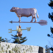 Angus Bull Weathervane