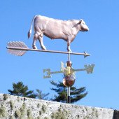 Angus Bull Weathervane