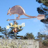 Armadillo Weathervane