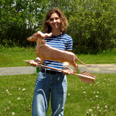 Riley holding Dachshund weathervane for size reference