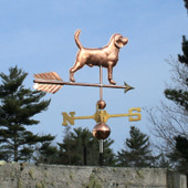 Beagle Weathervane