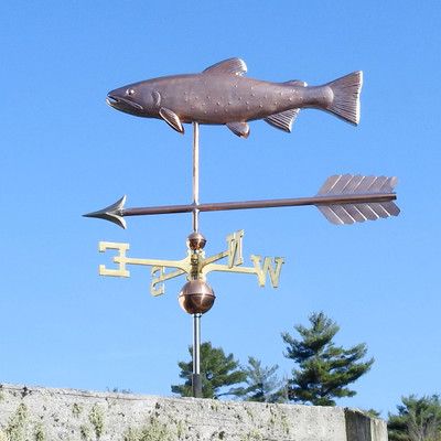 Copper 3D Brook Trout Weathervane