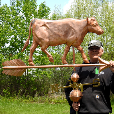 Todd Holding Large Cow Weather Vane for Size Reference
