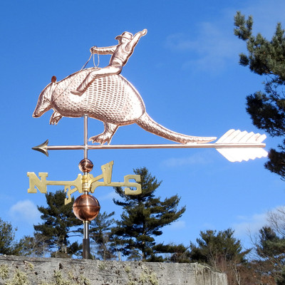 Armadillo and Cowboy Weathervane