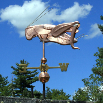 cricket weathervane