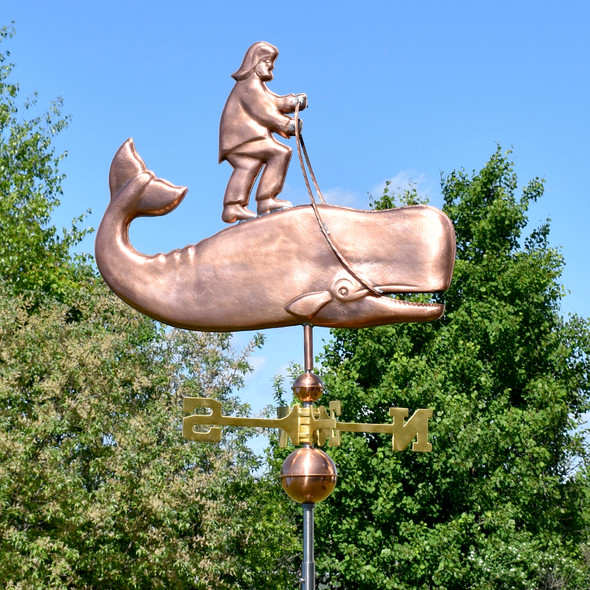 149 whale