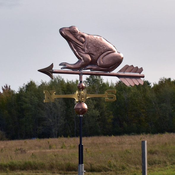 Frog Weathervane