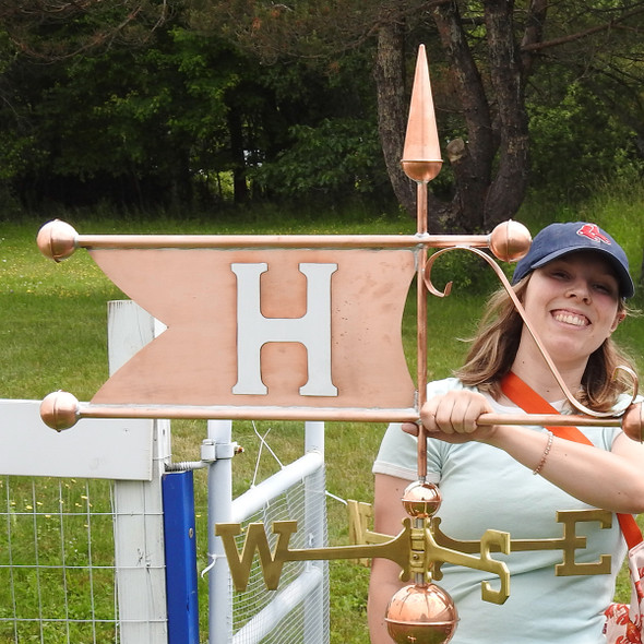 Banner Weathervane  737