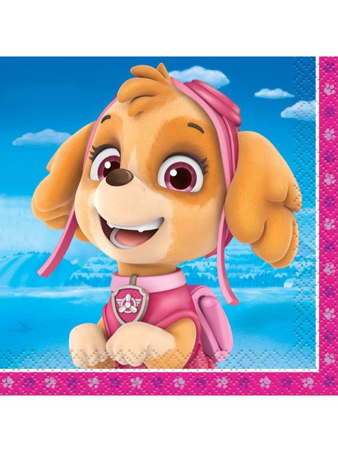 Paw Patrol Girl 16 Ct Beverage Napkins Pink