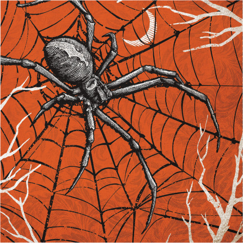Spooky Symbols Spider 16 Ct Lunch Napkins Spiderweb Orange Black