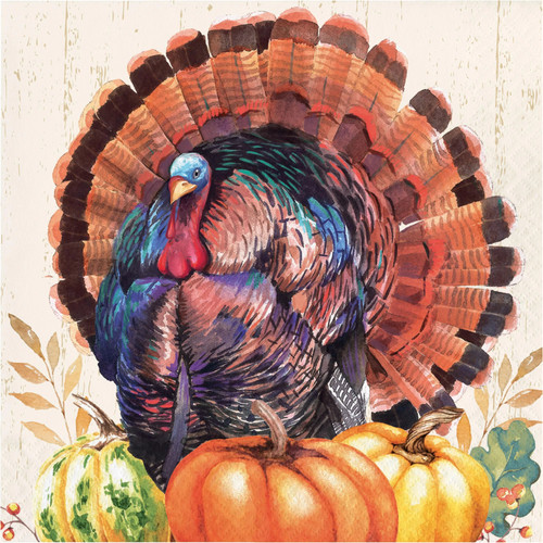 Harvest Turkey 16 Ct Paper Dinner Napkins Thanksgiving 3 Ply