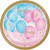 Gender Reveal Balloons Party Boy Girl 8 Ct Cake Dessert Plates 7 inch