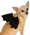 Bat Wings Costume Rubies Pet Shop Small Dog or Cat SM Bat Wings Costume Rubies Pet Shop Small Dog or Cat SM