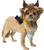 Beauty and the Beast (Beast) Small Medium Dog Pet Costume Accessory Rubies Pet Shop