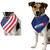 Flag and "Little Firecracker" Fireworks Reversible July 4th Pet Dog Bandana One Size