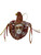 Jester Burgundy Copper Magnet New Orleans Mardi Gras Party Favor Ornament