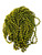 12 Mardi Gras Beads Olive Green Necklaces Party Favors