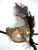 Feather Venetian Masquerade Costume Gold, Ecru Lace Macrame Mask