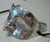 Scallop Metallic Silver Venetian Mardi Gras Masquerade Party Value Mask