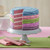 Wilton Easy Layers! 6 in. Cake Pan Set 5 Pc Rainbow Cake Wilton Easy Layers! 6 in. Cake Pan Set 5 Pc Rainbow Cake