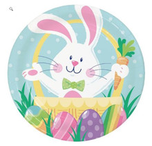 Hoppy Easter Bunny Basket 8 Ct 9 inch Dinner Plates