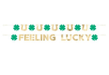 Feeling Lucky Horseshoe Shamrock 2 Pc Banner Set St Patrick's Day