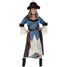 Posh Pirate Women Adult Plus 18 - 20 Costume XXL Blue Brown