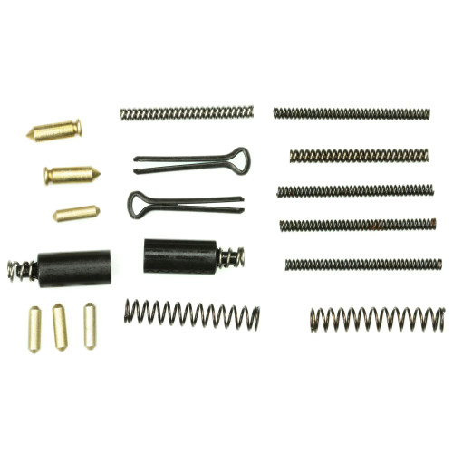 Doublestar AR-15 Oops replacement kit with small pins springs and detents