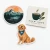 Custom vinyl stickers displayed in proportional 2×2, 3×3, and 4×4-inch size options.