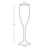 Soul Champagne Glass - Set Of 6
