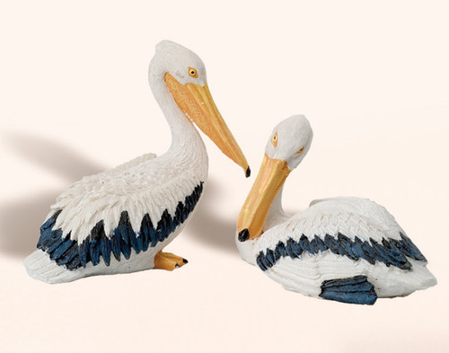 A Pair of Pelicans