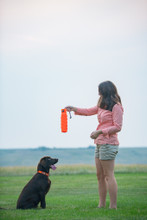 PIPER LS ORANGE GINGHAM SHOOTING SHIRT