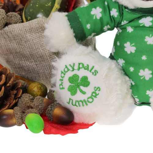 PP-2010 Irish Soft Toy White Teddy Bear Back Shamrockgift.com