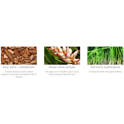 JC-211-11 Lemongrass and Ginger Reed Diffuser Cedarwood Ginger Lemongrass ShamrockGift.Com