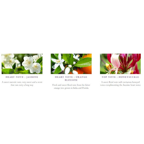 JC-210211-02 Jasmine Candle and Diffuser Gif Set scent ShamrockGift.com