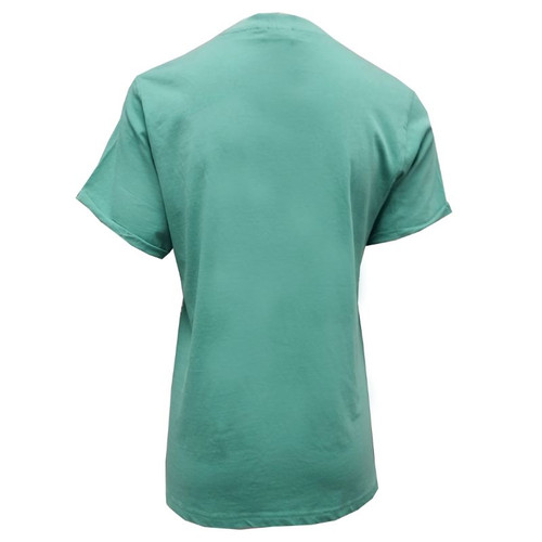 T4224 The Emerald Isle  Shamrock Ladies T-Shirt ShamrockGift.com